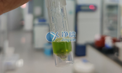 行星式球磨機研磨番茄葉片實驗|浙江大學農學院用于后續提RNA操作