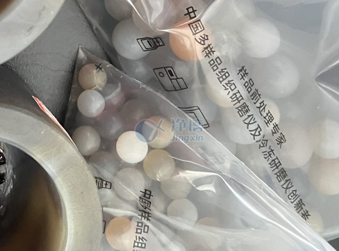 珠子實驗案例封面圖.jpg